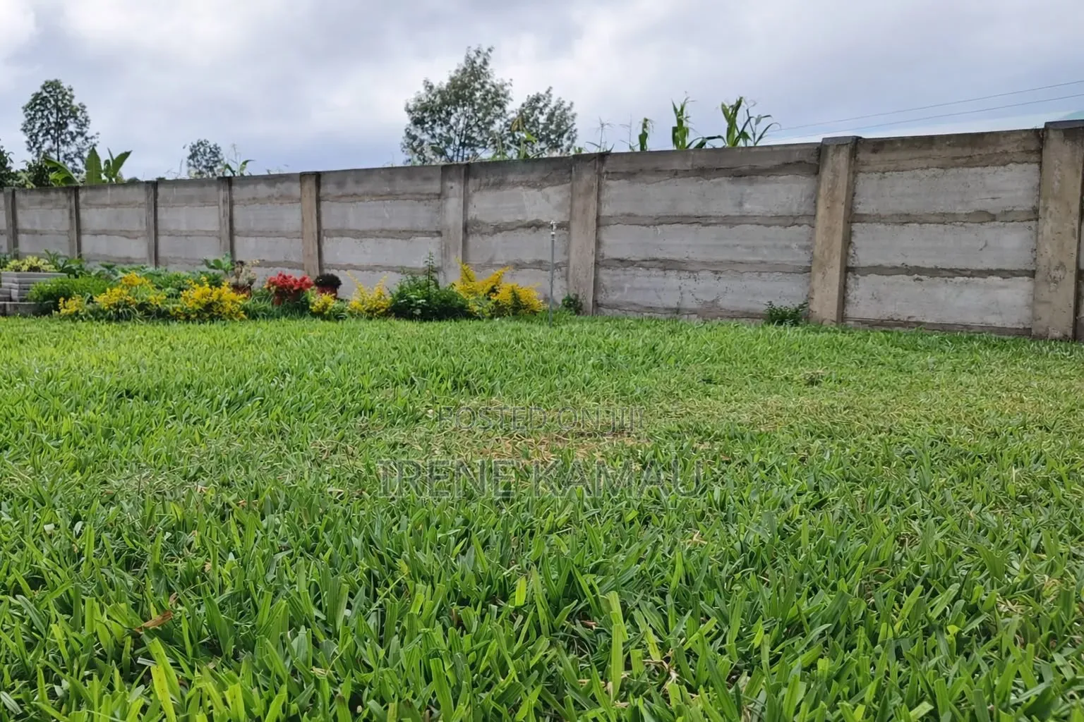 Furnished 1bdrm Apartment in Ngewa for Rent