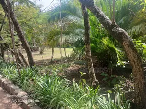 3⁄4of an Acre for Sale in Kilimani Touching Galana rd.Nairobi.