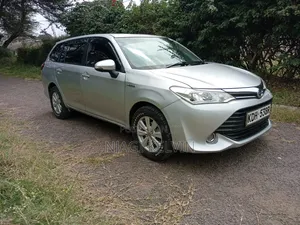 Toyota Corolla Fielder 2016 Silver
