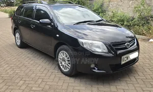 Toyota Corolla Fielder 2010 Black