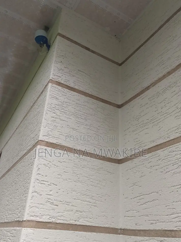 Ruff N Tuff Exterior Wall Textures and Painting
