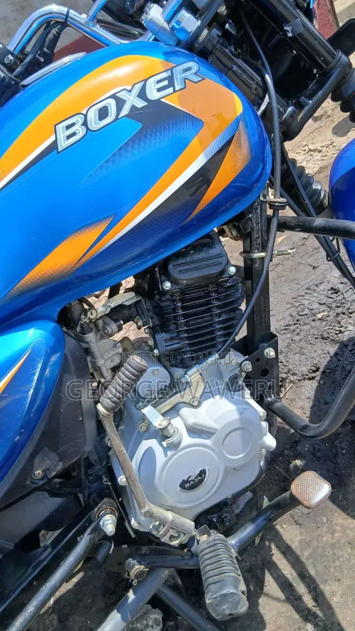 Bajaj Boxer 125 2025 Blue