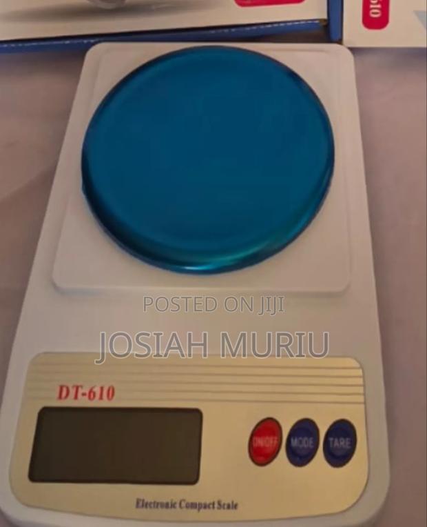 DT610 Weighing Scale - main view