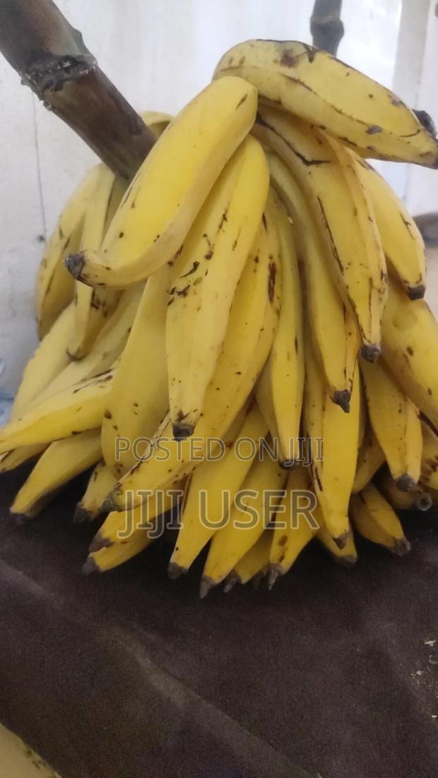 Raw Sweet Yummy Plantain - main view