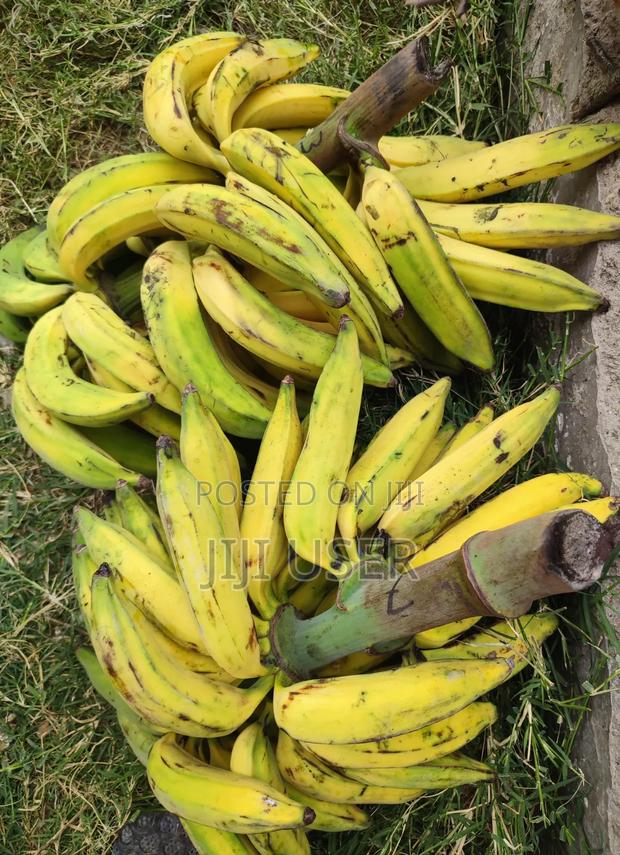 Raw Sweet Yummy Plantain - thumbnail 2
