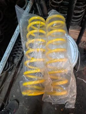 Land Cruiser 79 Series Monroe Heavy Duty Springs