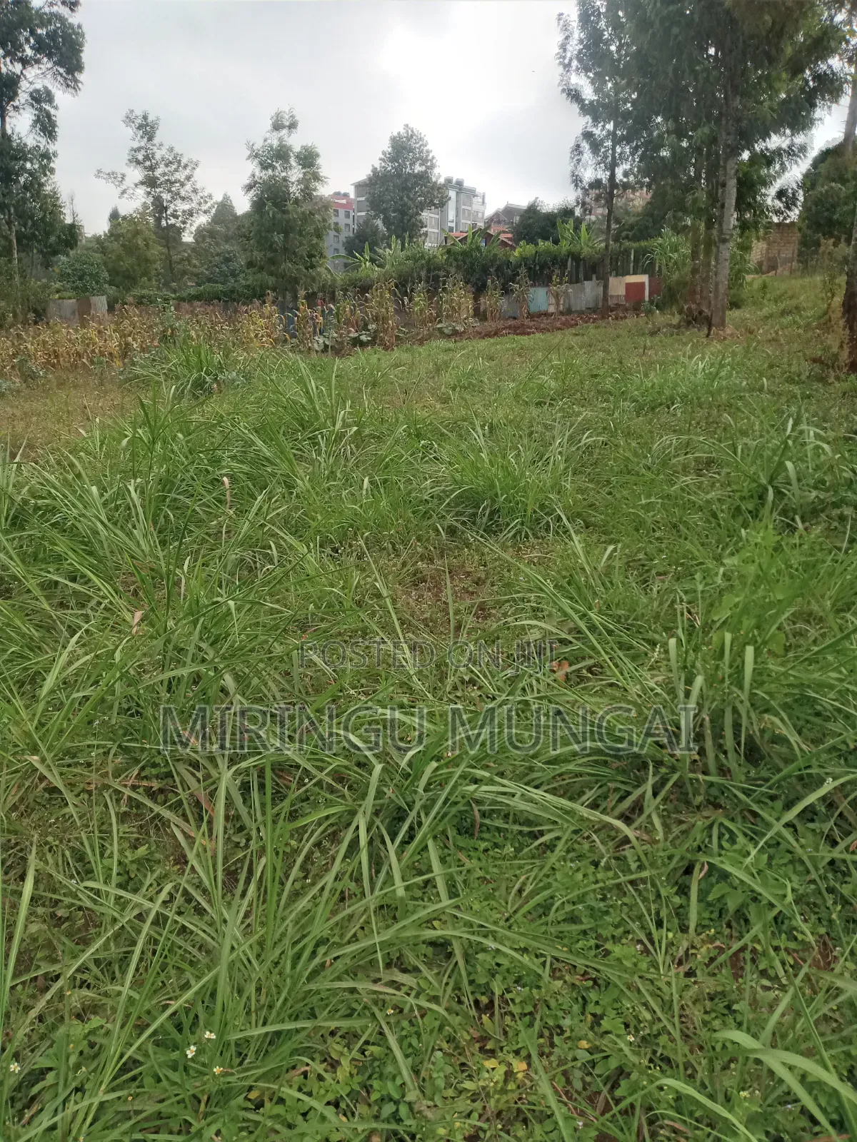 Land for Sale in Muguga .