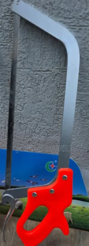 Commercial Meat Saw