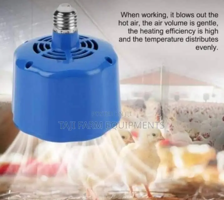 Chick Brooder Heating Lamp