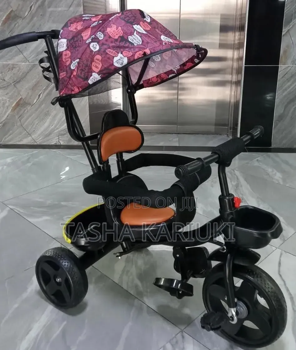 Tricycle With Canopy
