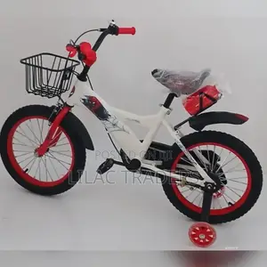Bike Size 16