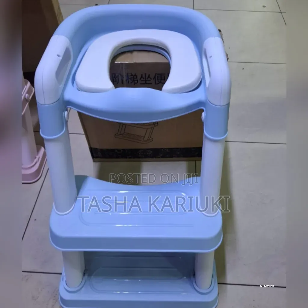 Blue Toilet Ladder