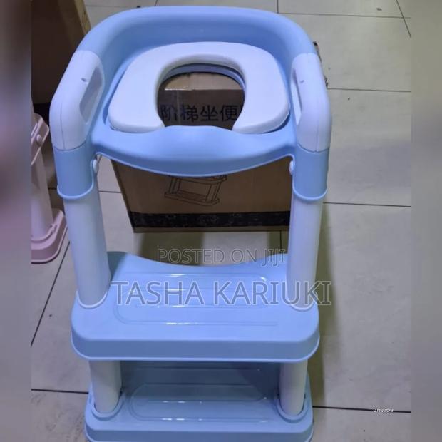 Blue Toilet Ladder - main view