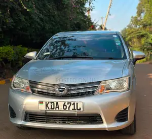 Toyota Axio 2013 Silver