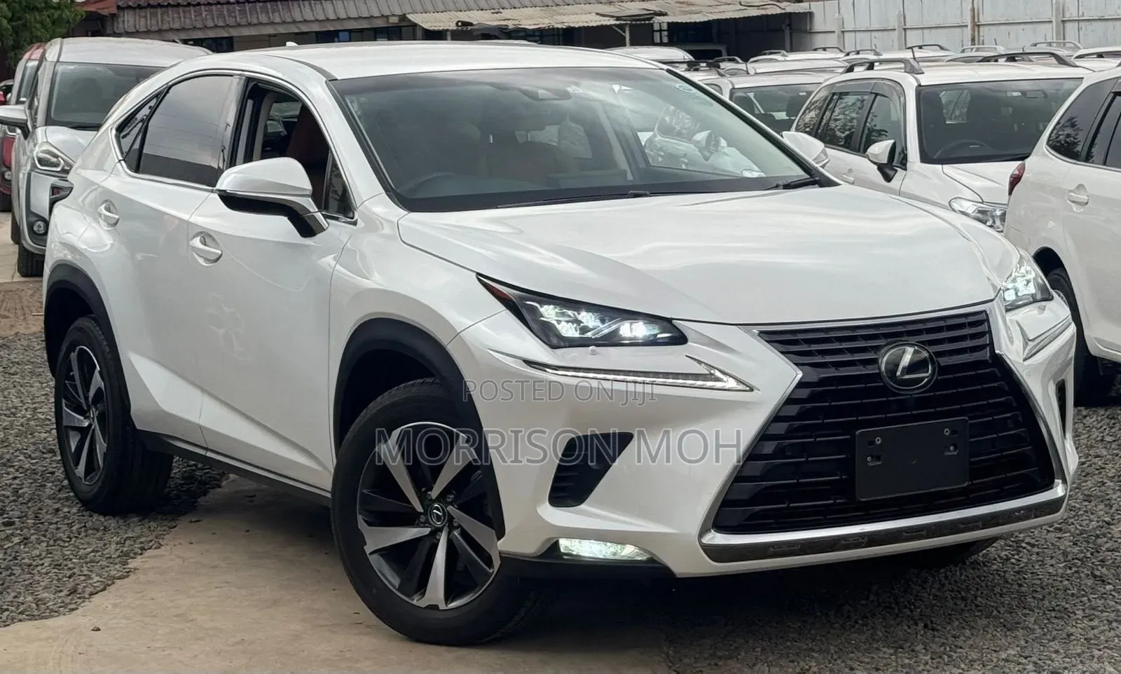 Lexus NX 2017 White