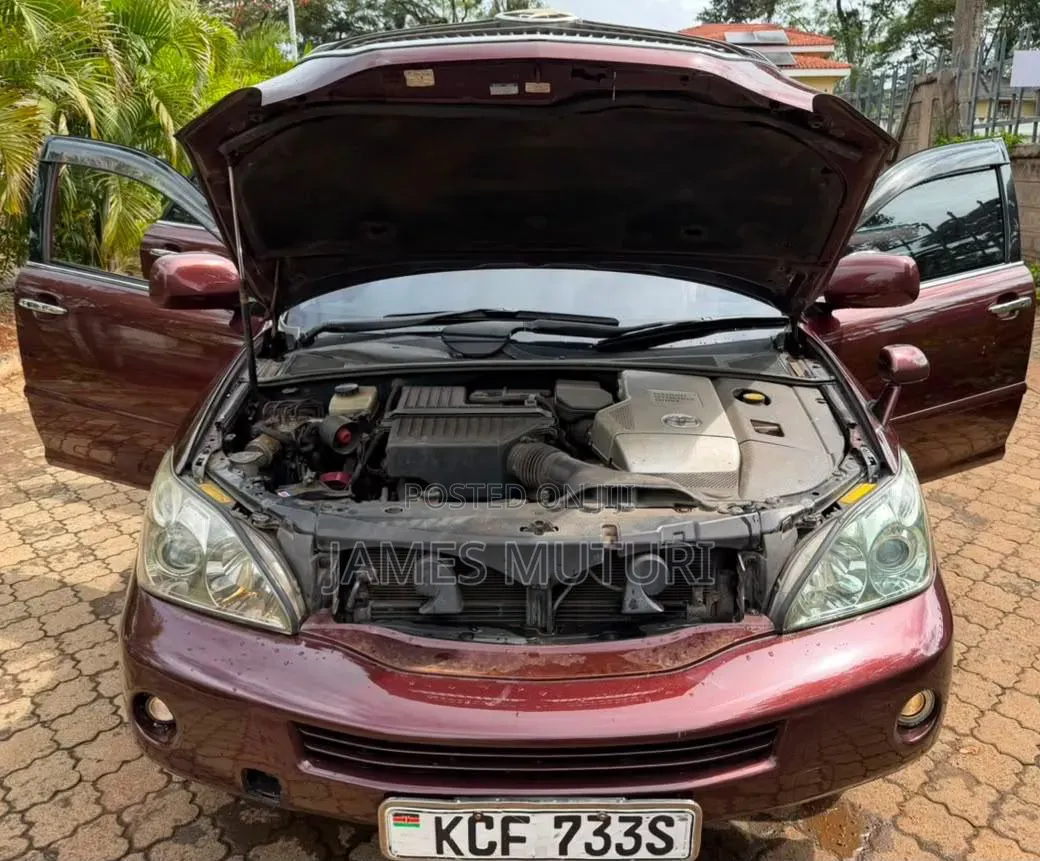 Toyota Harrier 2009 Burgundy