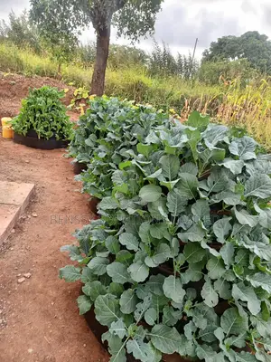 Storey Garden 6 Layer