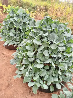 Storey Garden 6 Layer