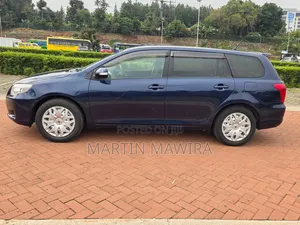 Toyota Corolla Fielder 2009 Blue