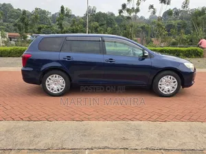 Toyota Corolla Fielder 2009 Blue