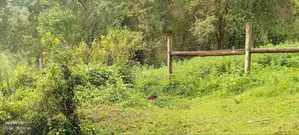 Kipipiri, Mawingo 4 Acres Fronting Mt Kipipiri and 800 MTRS to Tarmac