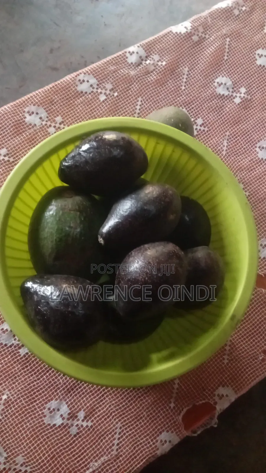 Fresh Organic Avocado for Sale