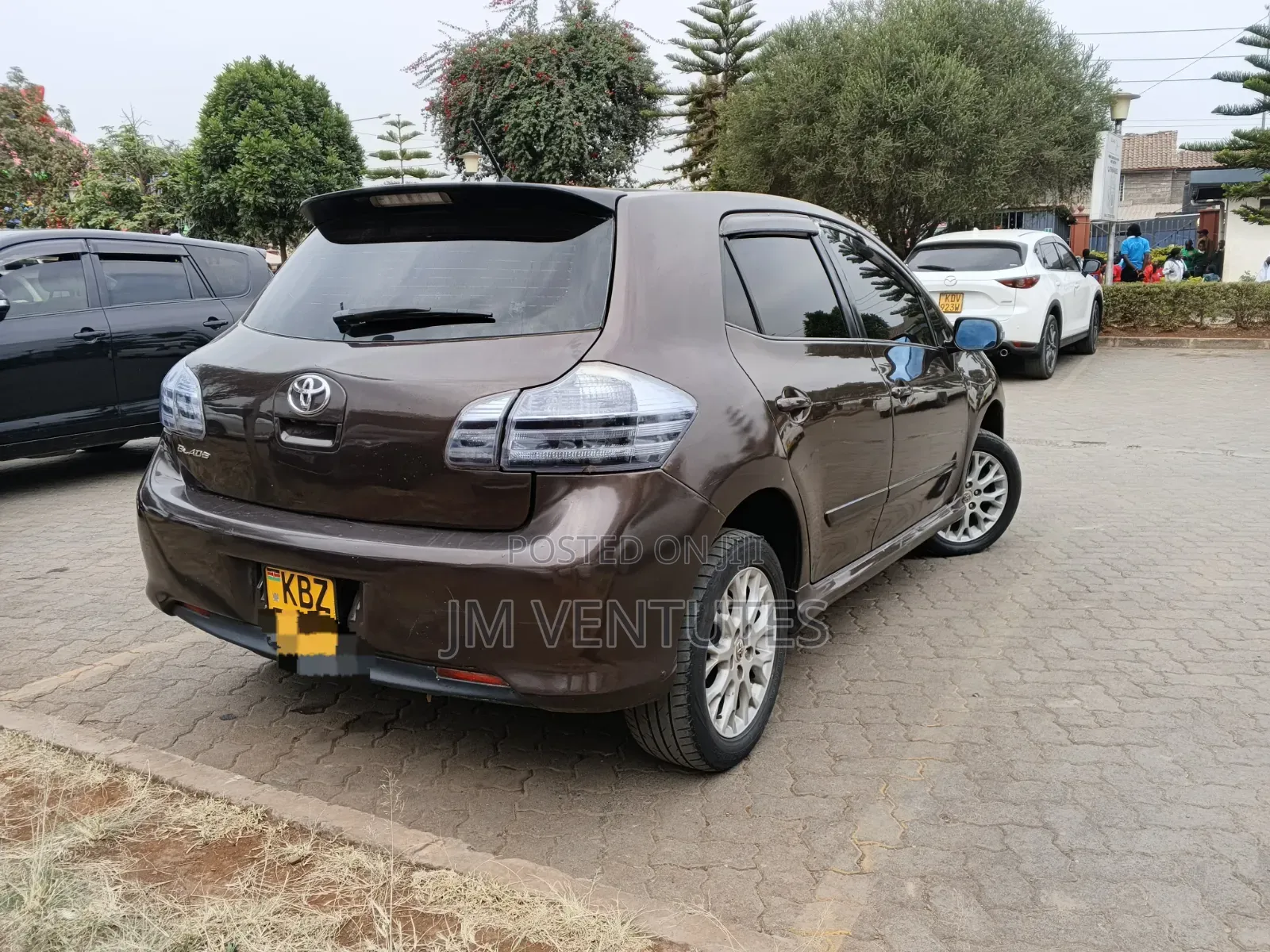Toyota Blade 2007 Burgundy