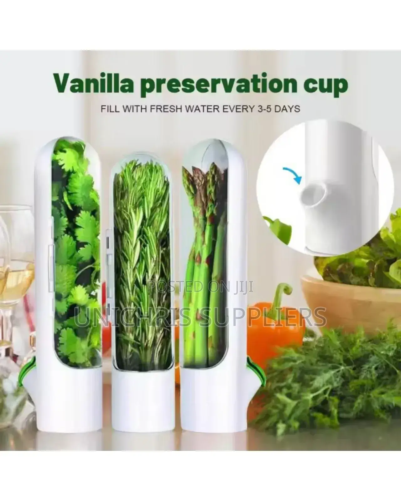 Fresh Herbs Fridge Storage Container