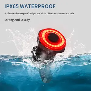 High-Visibility Bike Rear Light