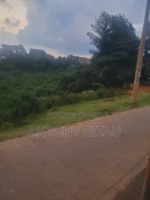3.8 Acres Kikuyu Overlooking Ondiri Swamp