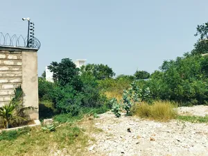  Prime 1/4 Acre Plot for Sale in Galu Kinondo, Diani! 