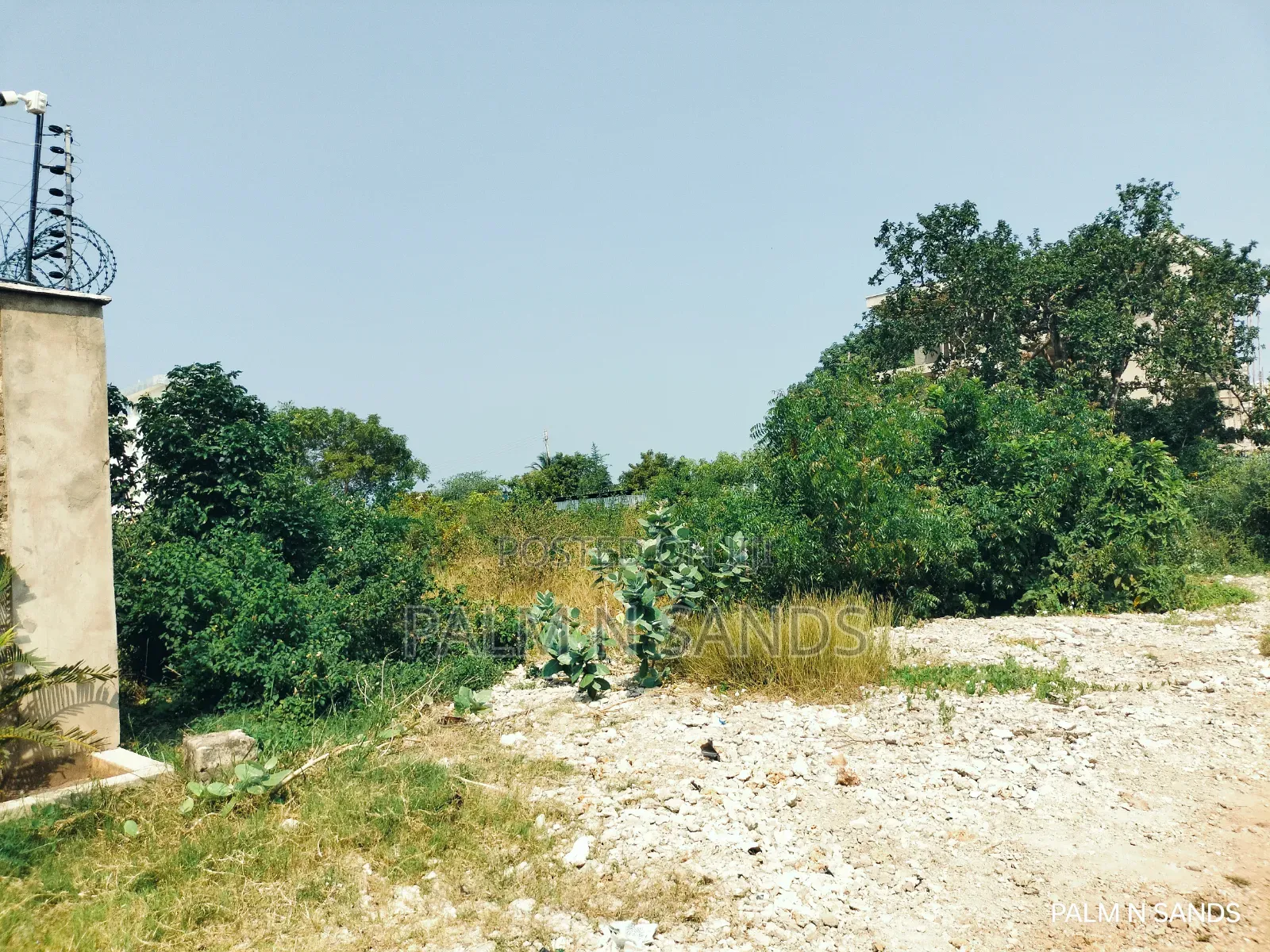  Prime 1/4 Acre Plot for Sale in Galu Kinondo, Diani! 