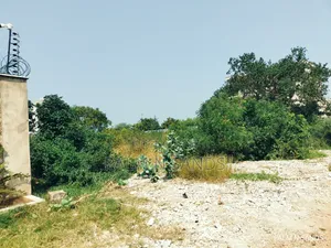  Prime 1/4 Acre Plot for Sale in Galu Kinondo, Diani! 