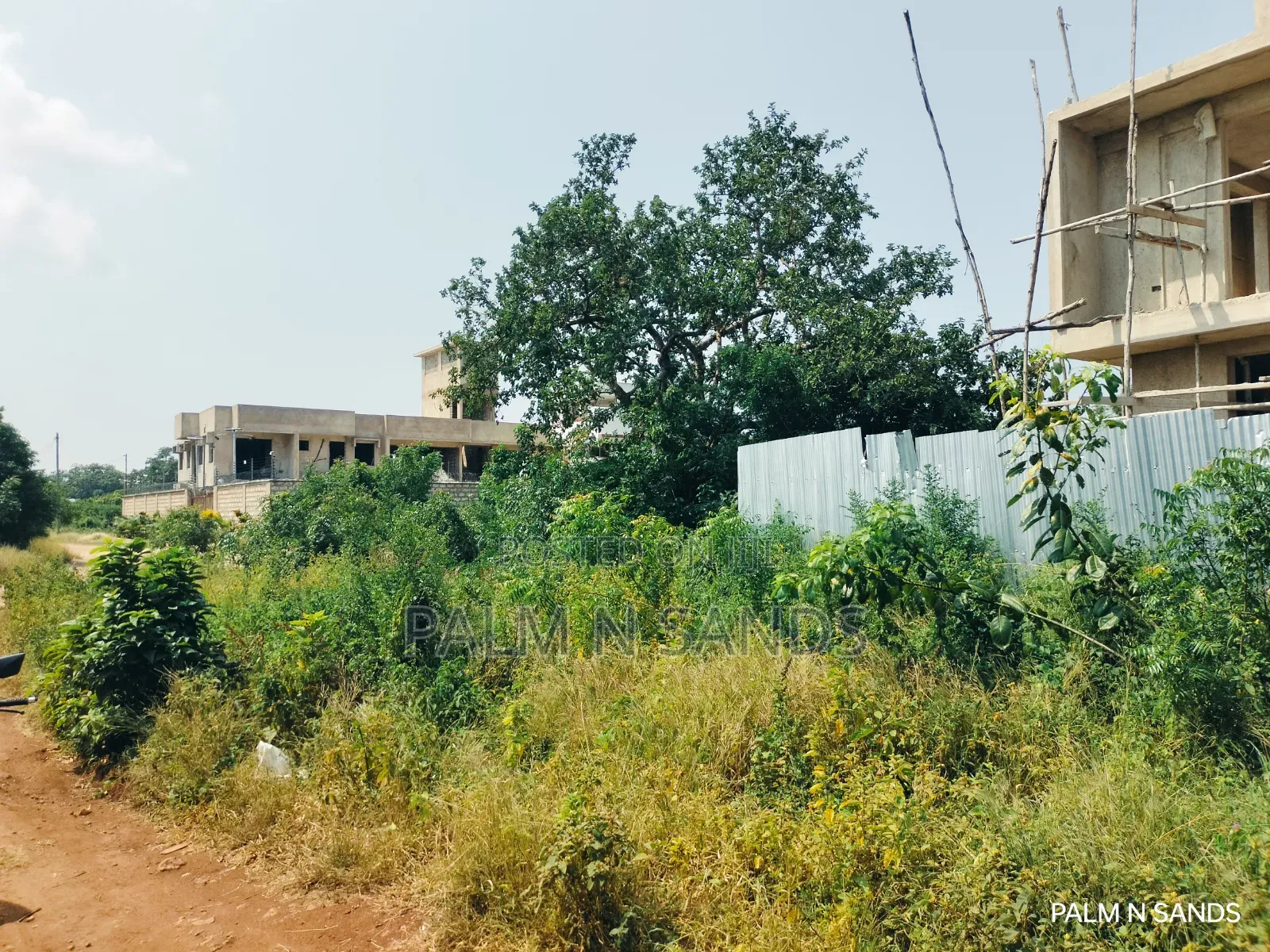  Prime 1/4 Acre Plot for Sale in Galu Kinondo, Diani! 