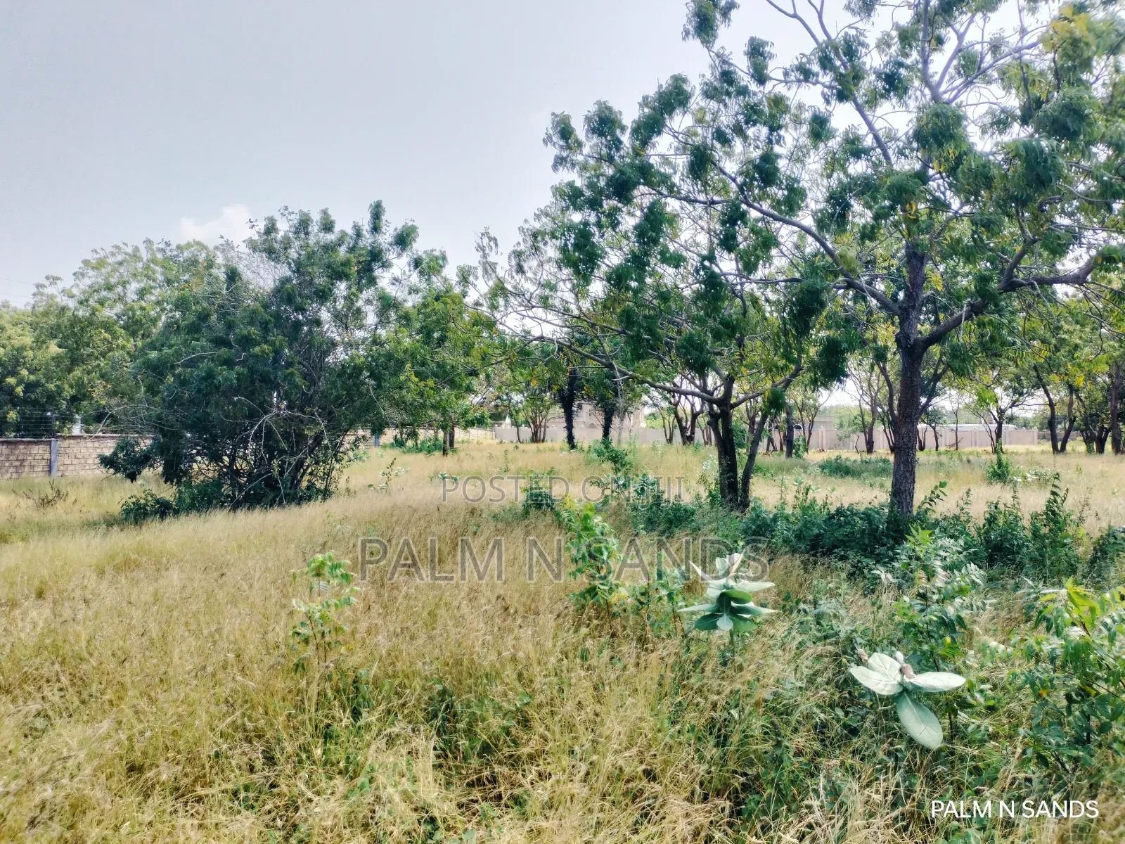  Prime 1/4 Acre Plot for Sale in Galu Kinondo, Diani! 