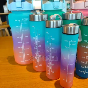 3 in 1 Motivational Water Bottle