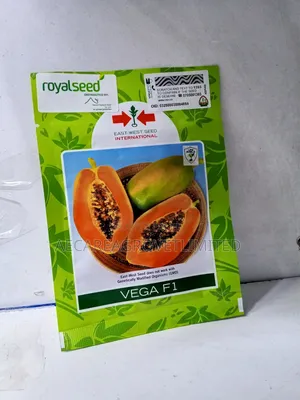 Vega F1 Pawpaw Seeds