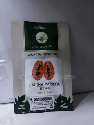 Calina Papaya Ipb9. Pawpaw Seeds 1gram. Approximate 60seeds