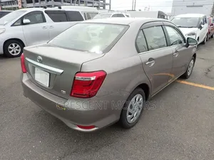 Toyota Axio 2019 Gray