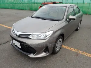 Toyota Axio 2019 Gray