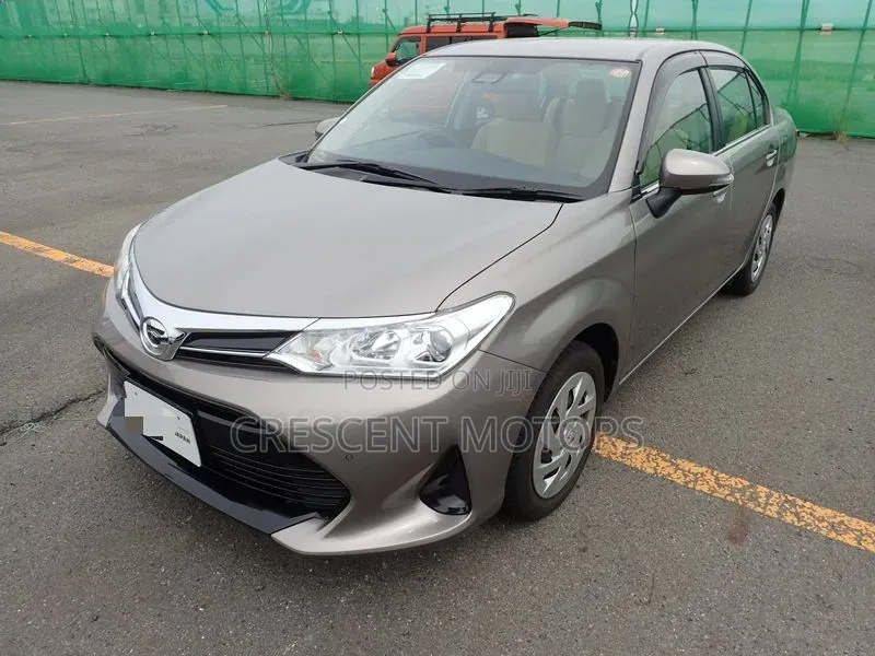 Toyota Axio 2019 Gray
