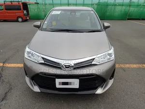 Toyota Axio 2019 Gray