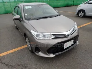 Toyota Axio 2019 Gray