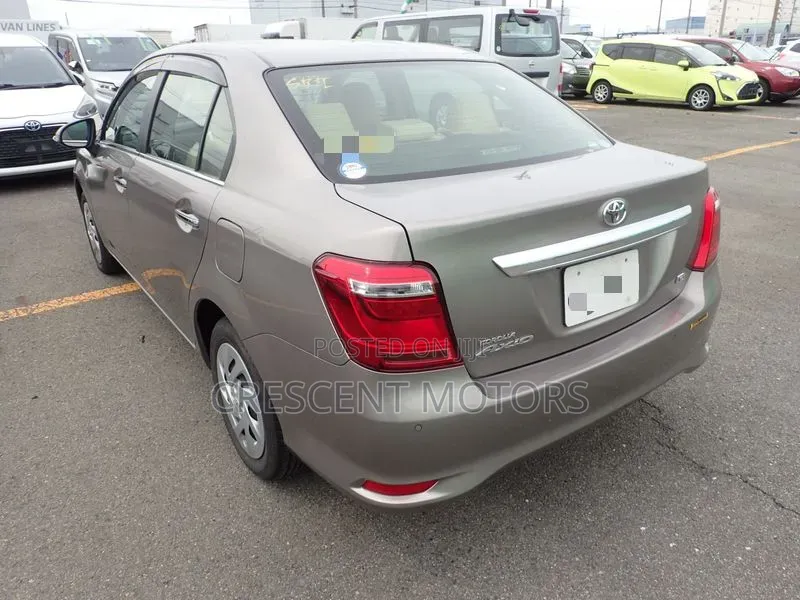 Toyota Axio 2019 Gray