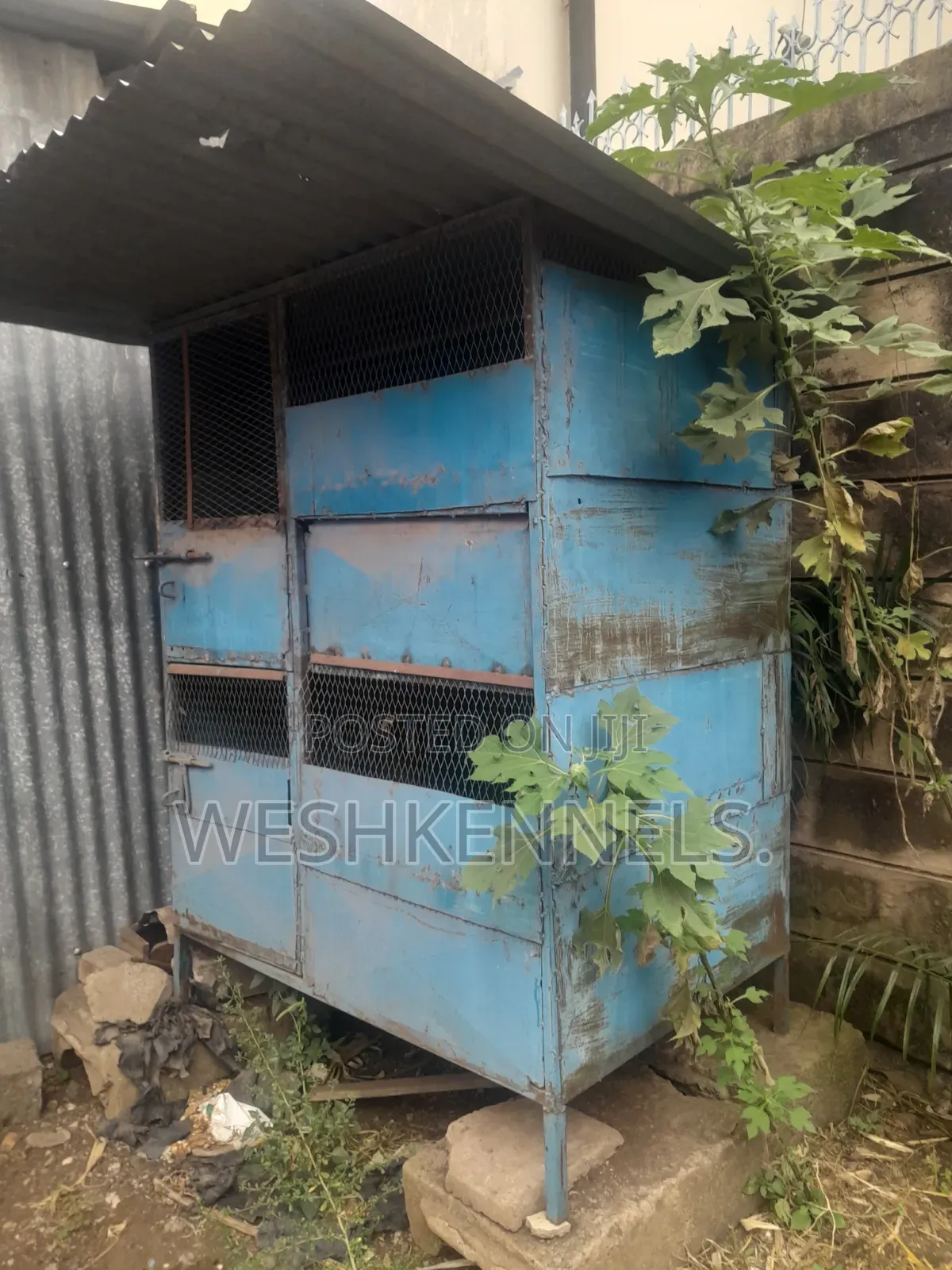 Dog House Cage