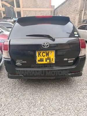 Toyota Corolla Fielder 2006 Black