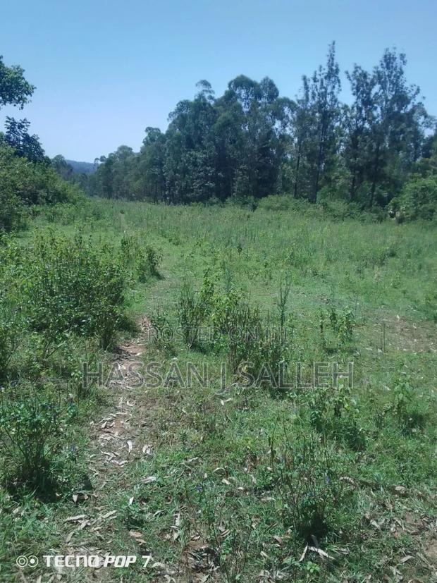 2acres Buchifi 4 SALE