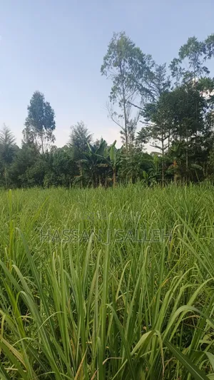 2acres Buchifi 4 SALE