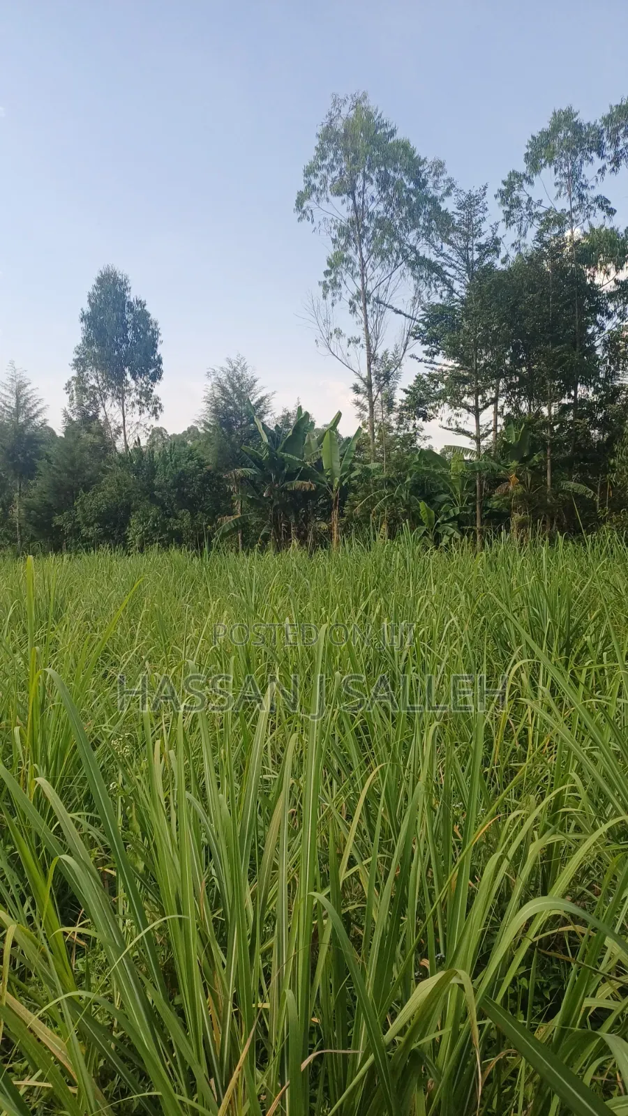 2acres Buchifi 4 SALE