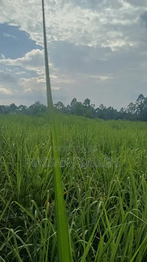 2acres Buchifi 4 SALE